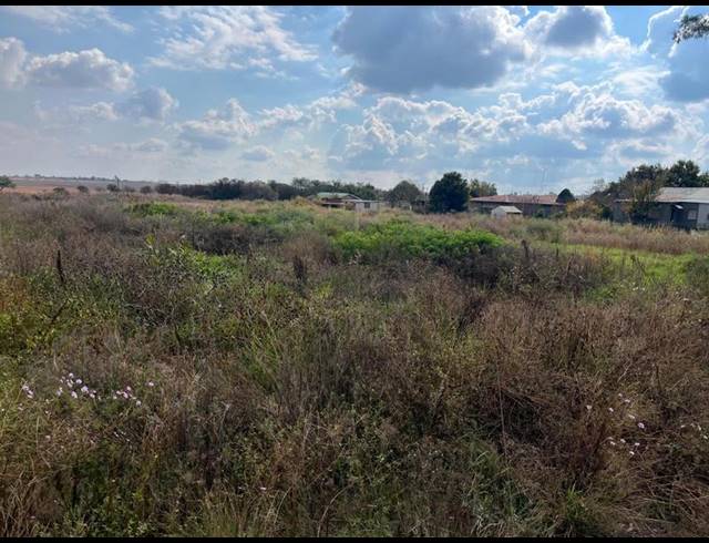 LAND FOR SALE IN KOSTER